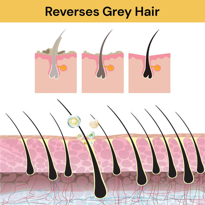 Grey Hair Coverage Shampoo Soap